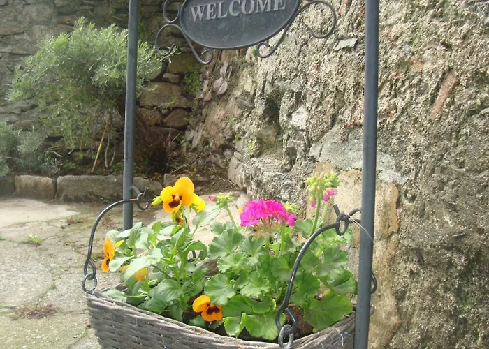 艾巴鲁娜住宿酒店